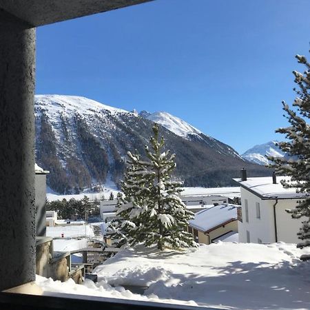 Relaxing Confortable Studio, Heated Garage, Skiroom Samedan Buitenkant foto