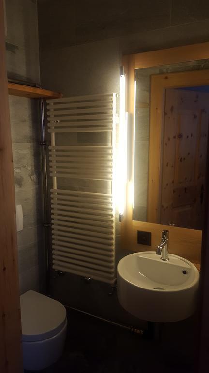 Relaxing Confortable Studio, Heated Garage, Skiroom Samedan Buitenkant foto